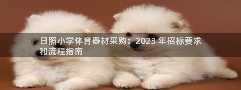 富联娱乐正规吗可靠吗：日照小学体育器材采购：2023