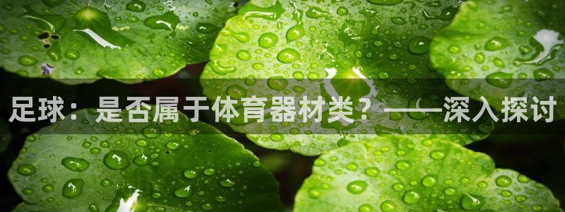 富联平台网站官网：足球：是否属于体育器材类？——深入