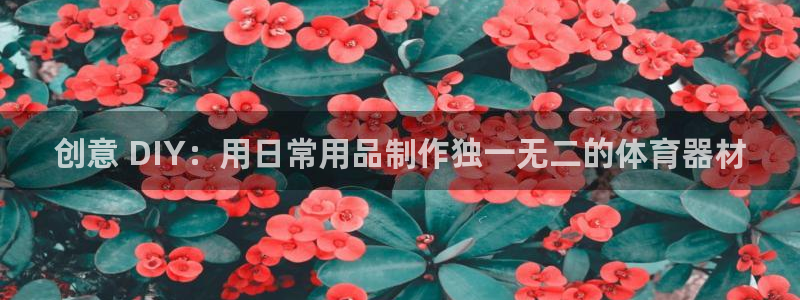 富联平台代理注册要钱吗：创意 DIY：用日常用品制作