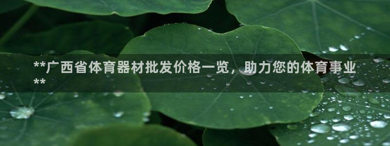 富联平台商 5O6917 平台：**广西省体育器材批