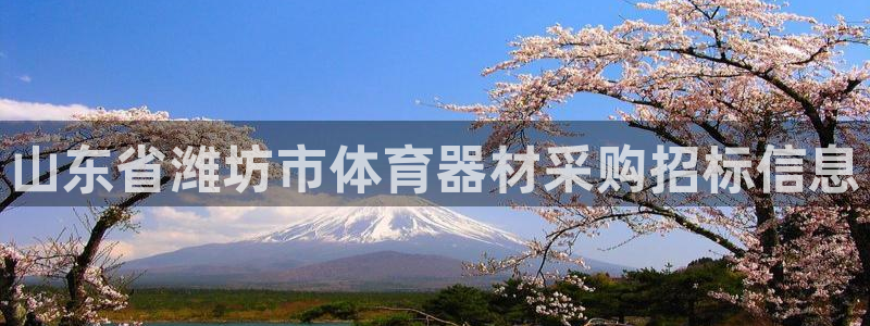 富联平台总代理是谁：山东省潍坊市体育器材采购招标信息