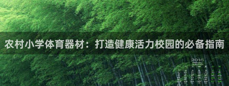 富联娱乐官方网站下载安卓：农村小学体育器材：打造健康