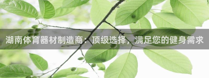 富联娱乐官方网站首页：湖南体育器材制造商：顶级选择，