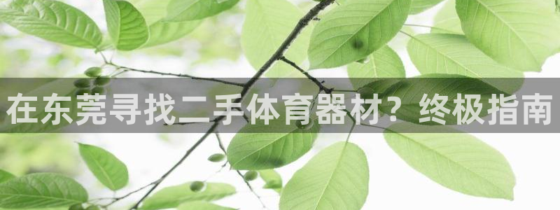 富联娱乐代理怎么做的：在东莞寻找二手体育器材？终极指