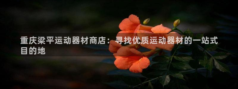 富联申购是什么股票:重庆梁平运动器材商店:寻找优质运动器材的