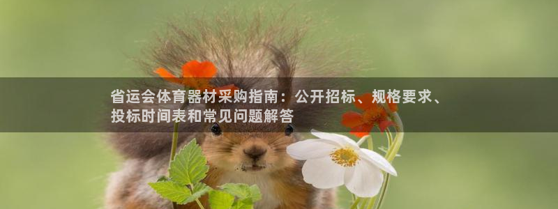 富联平台登录网址是多少:省运会体育器材采购指南:公开招标、规